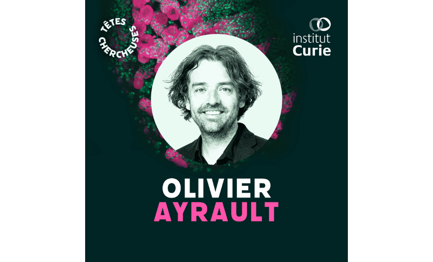 Olivier Ayrault