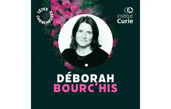 Portrait - Déborah Bourc’his Podcast les "Têtes Chercheuses"