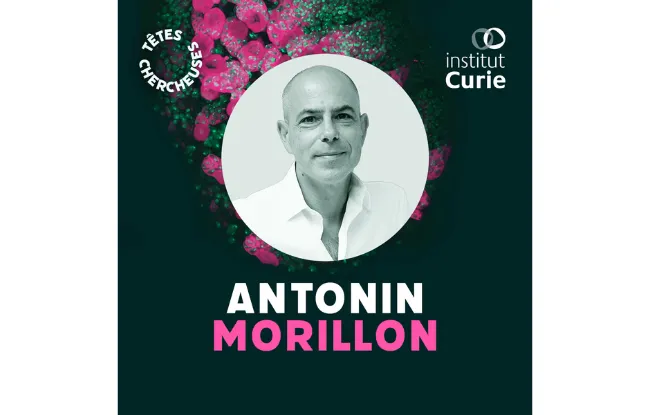 Portrait - Antonin Morillon Podcast les "Têtes Chercheuses"