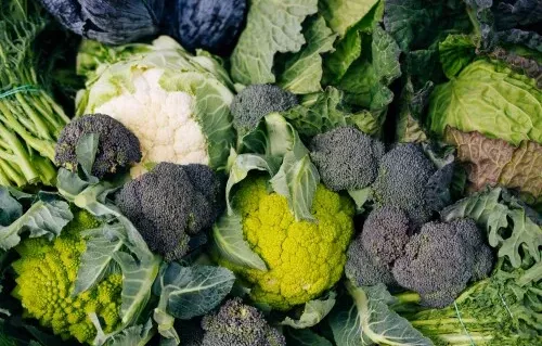 Alimentation et cancer : les choux, alliés indispensables de l’immunothérapie