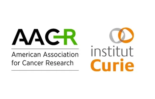 CAR-T cell optimisés, vaccinothérapie, super-répondeurs, suivi oncogénétique amélioré…. les avancées prometteuses de l’Institut Curie au congrès de l’AACR 2026