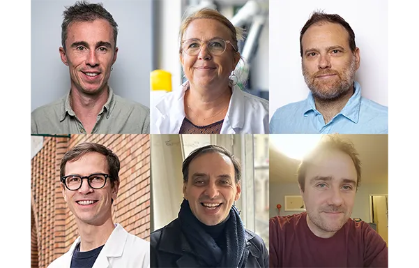 Nouvelle moisson d’ERC Synergy Grants pour l’Institut Curie