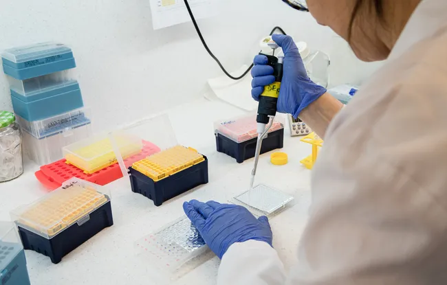 Cancer de l’ovaire : des cellules tumorales « configurées » pour résister aux traitements Institut Curie