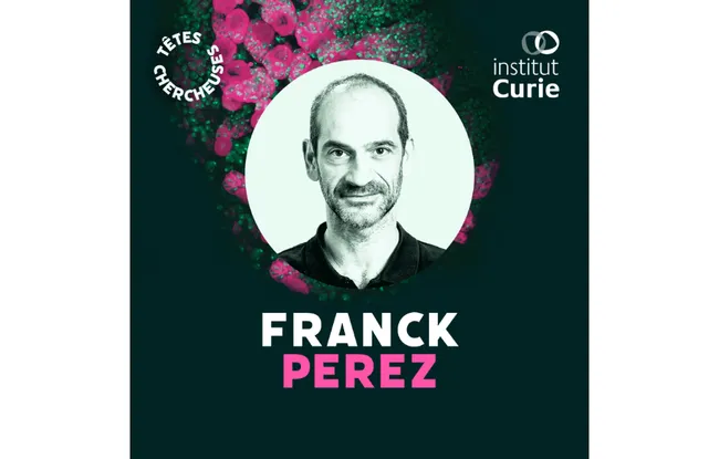 Franck Perez