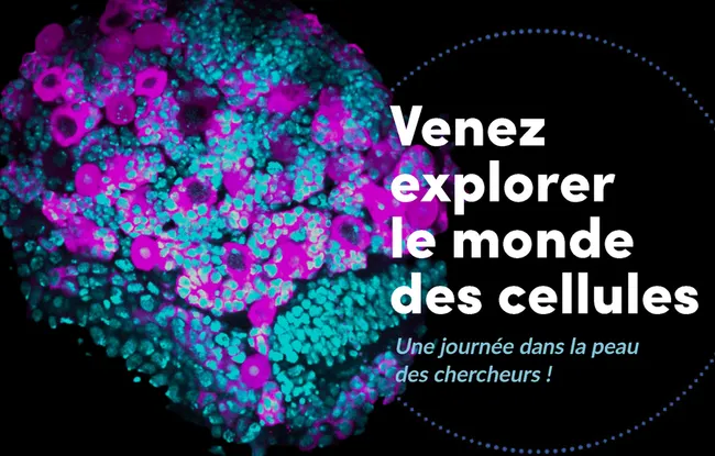 Fête de la science 2022
