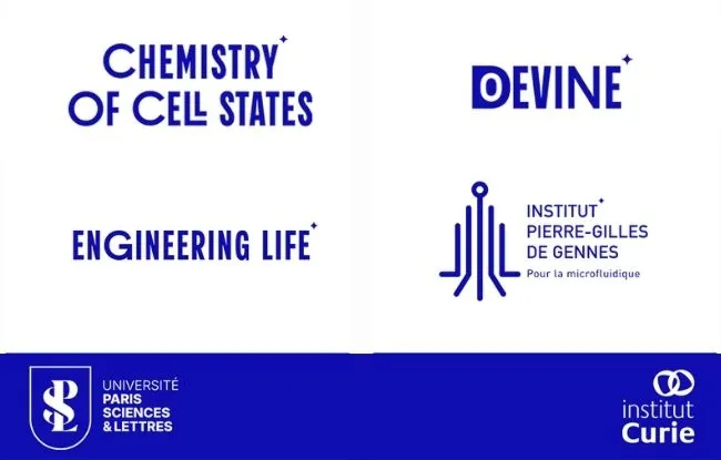 Institut Curie contributes to four Université PSL Major Research Programs to tackle key challenges in biology and health - Institut Curie