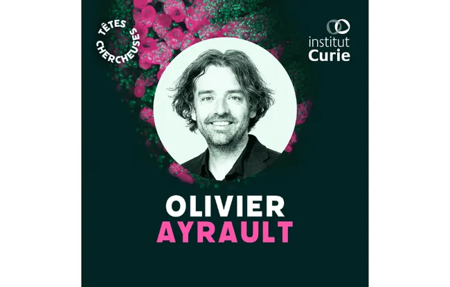 Portrait - Olivier Ayrault