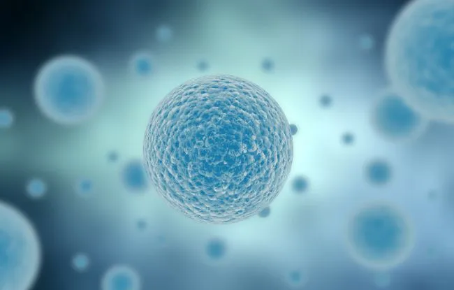 One Biosciences, a spin-off of Institut Curie, secures €3.3 million to develop the first single-cell diagnostic for triple-negative breast cancer - Institut Curie