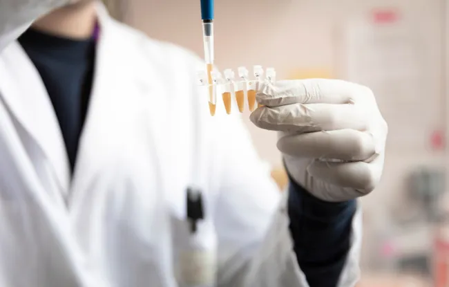 Cancers de l’ovaire et du pancréas : les premiers patients traités dans l'essai clinique prometteur de l'Institut Curie et de sa spin-off PEP-Therapy