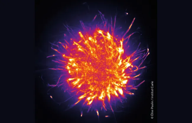 Fête de la science 2026 à l’Institut Curie
