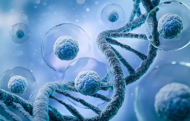Offre R&D : Biologie du cancer, génétique et épigénétique