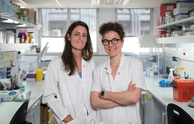 IHU - Programme
médico-scientifique