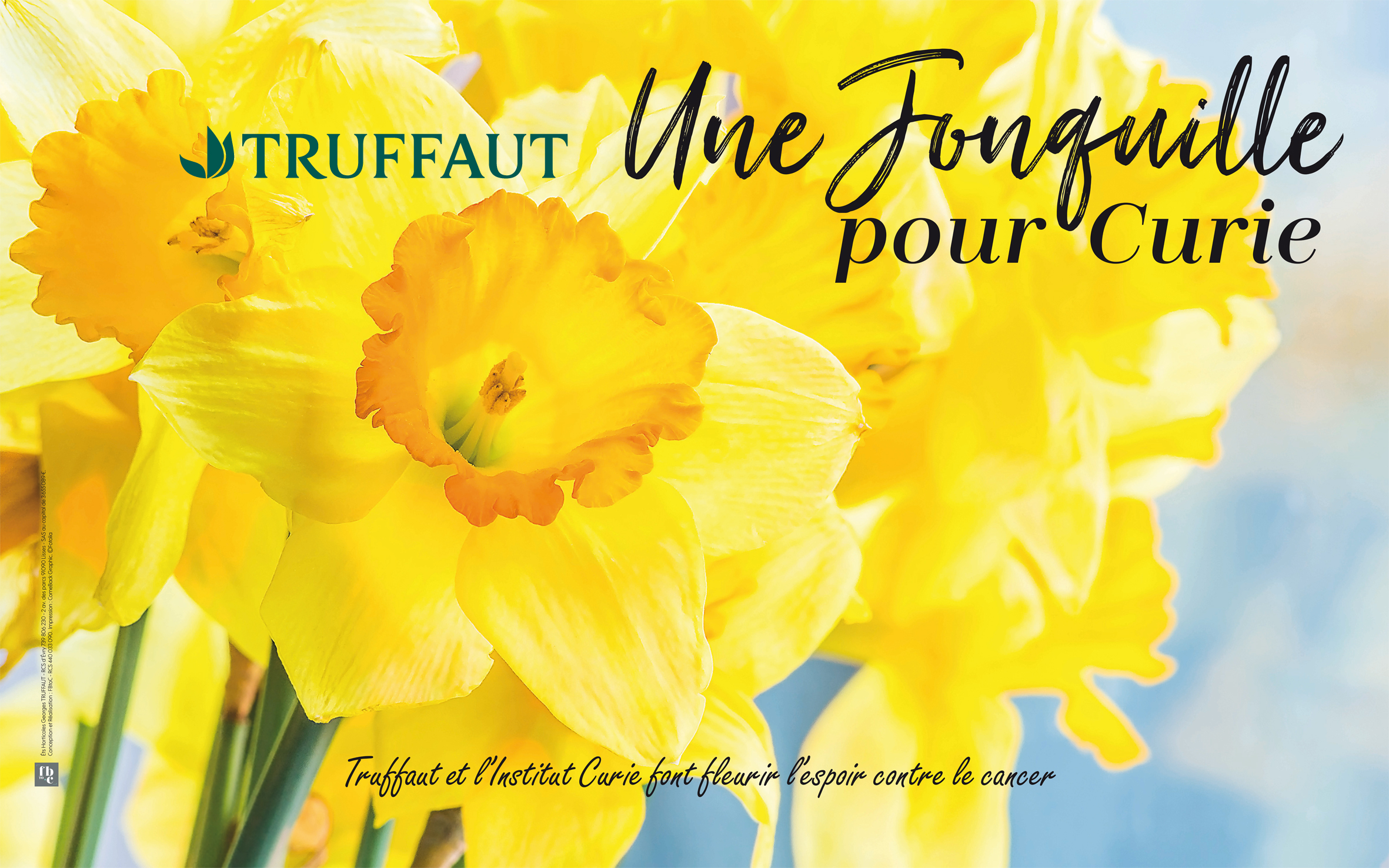 Avec Truffaut, les jonquilles contre le cancer fleurissent la France ! |  Institut Curie