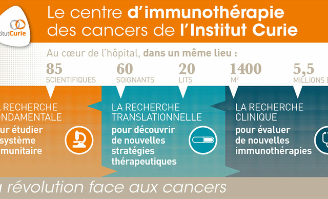Infographie-Centre-immunothérapie