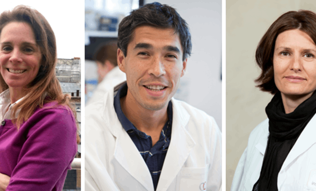 FRM : 3 nouvelles équipes labélisées à l’Institut Curie