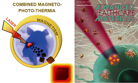 Magneto-Photo-Thermia with magnetic nanocubes and Intracellular Photothermia with gold nanostars